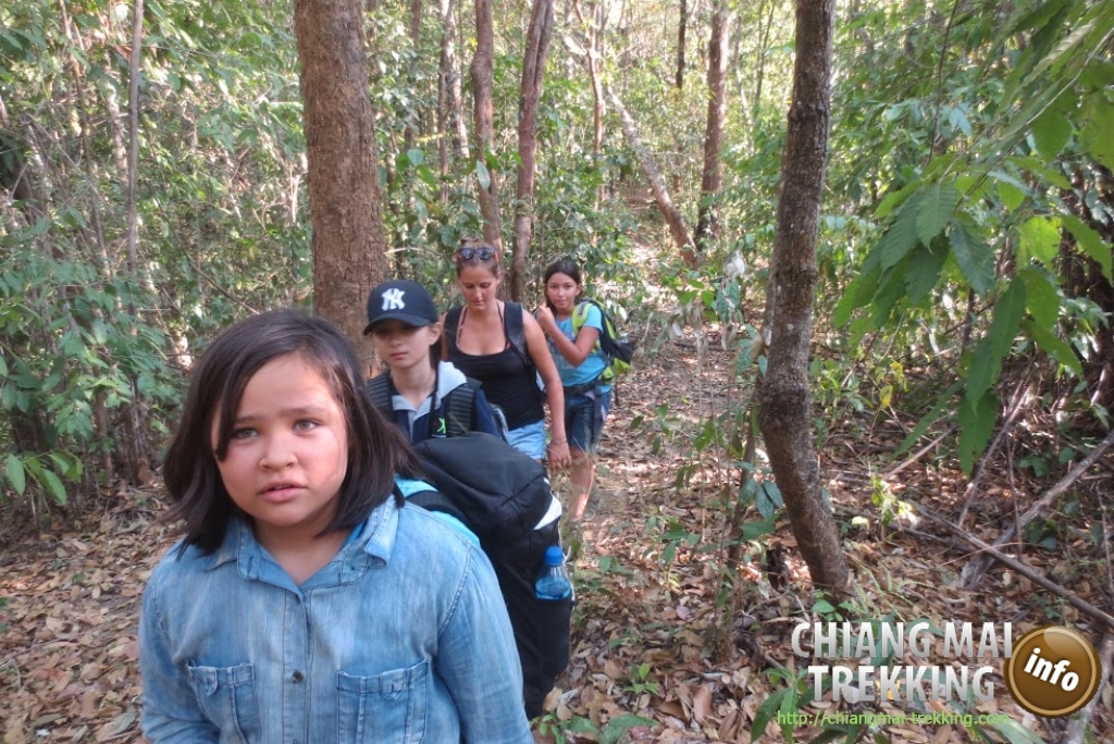 4-days/3-nights Trekking Tour | Chiang Mai Trekking | Das beste Trekking in Chiang Mai mit Piroon Nantaya